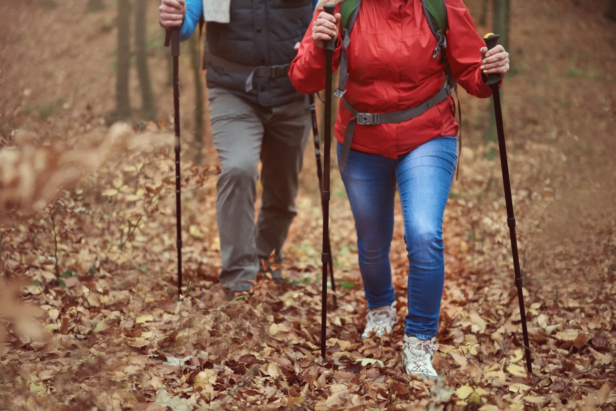 10 Rekomendasi Tongkat Hiking Terbaik, Kokoh, dan Aman